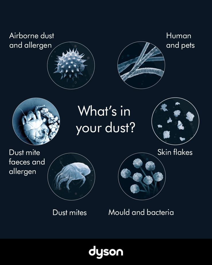 what is in dust effective spring cleaning