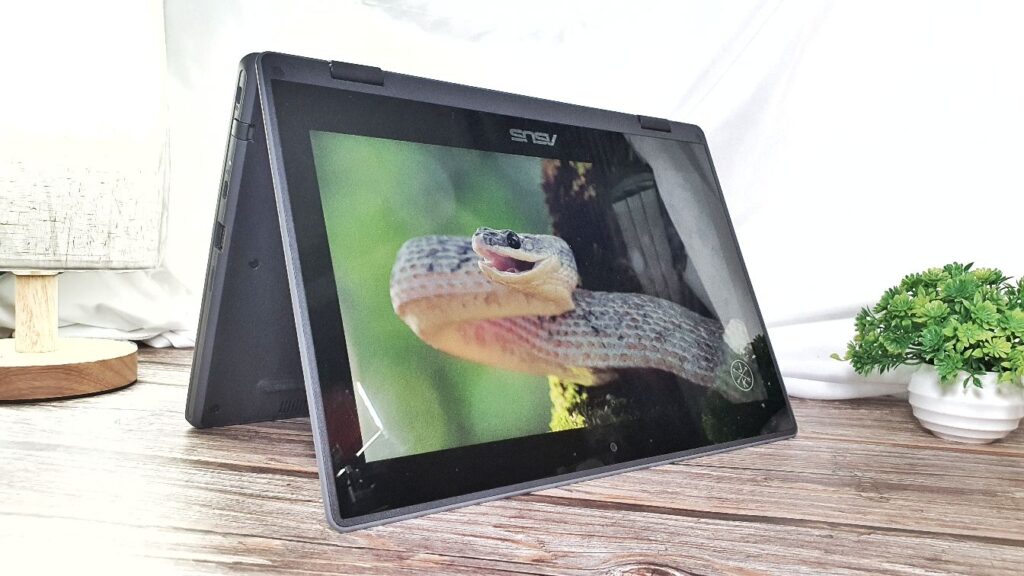 ASUS Chromebook Flip CR1 Review (CR1100)  display