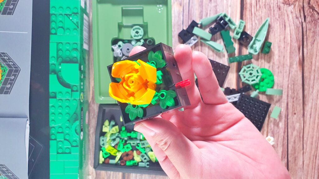 LEGO Succulents review view