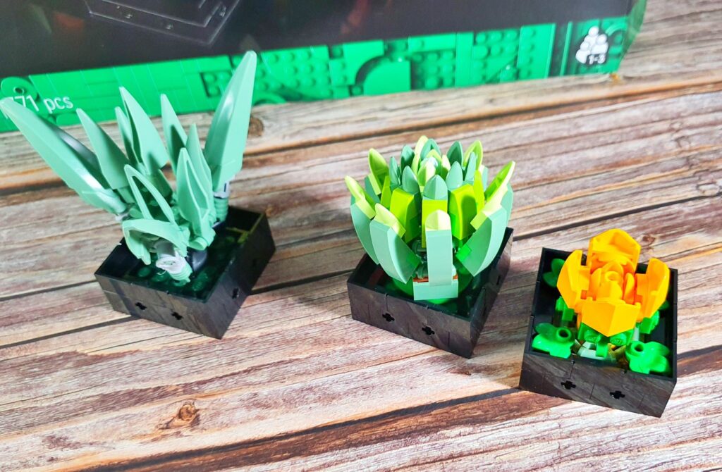 LEGO Succulents review view set 1